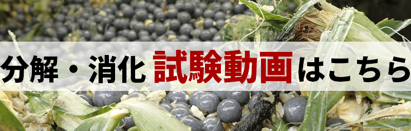 試験動画集Youtube